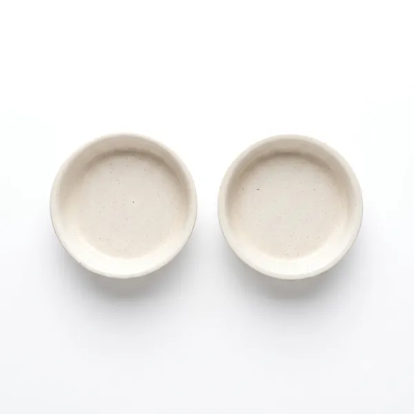 Lasaki_Plate_circular_3_inch_ivory_HT25_R3_set_of_2_|_round_ceramic(Plates/Saucers)for_Pots,Planters,Flowers,Succulents|Decorative_Garden_Accessories|(H_-_1.5_X_D_-_9.5_cm)