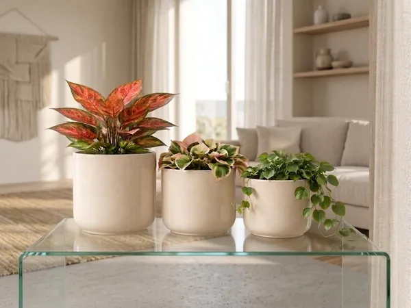 Lasaki_Orin_set_of_3_ivory_HT25_Ceramic_Pots_for_Indoor_Plants,_Planters,gamla,Outdoor,Balcony,Home,Round,Garden,_Office_Decor,Succulent(Plants_not_included)