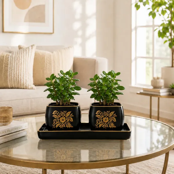Lasaki_Nebi_hp1_set_of_2_with_slato_tray_black_gold_Ceramic_Pots_for_Indoor_Plants,Planters,Flower,gamla,Outdoor_(Plants_not_included)