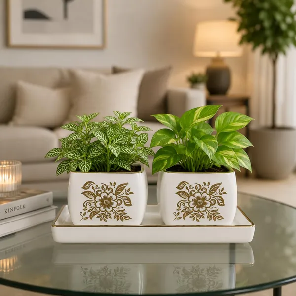 Lasaki_Nebi_hp1_set_of_2_with_slato_tray_white_gold_Ceramic_Pots_for_Indoor_Plants,Planters,Flower,gamla,Outdoor_(Plants_not_included)