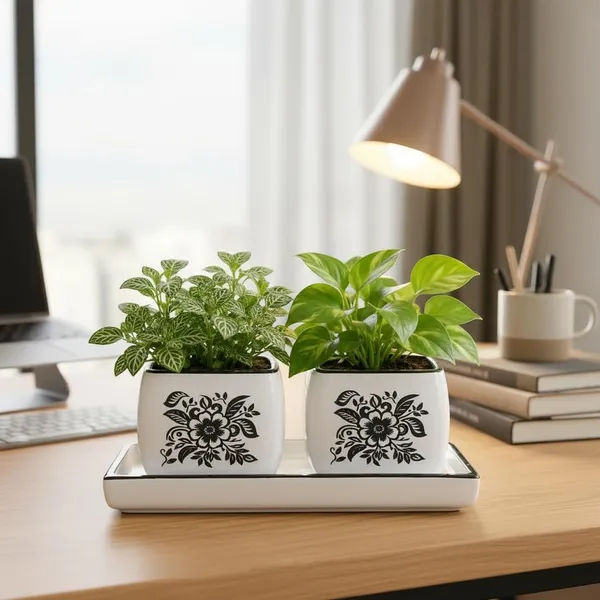 Lasaki_Nebi_hp1_set_of_2_with_slato_tray_white_black_Ceramic_Pots_for_Indoor_Plants,Planters,Flower,gamla,Outdoor_(Plants_not_included)
