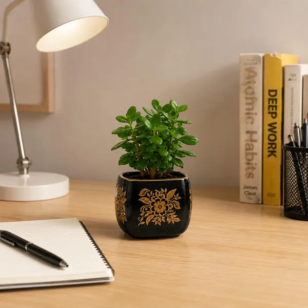 Lasaki_Nebi_hp1_black_gold_Ceramic_Pots_for_Indoor_Plants,_Planters,gamla,Outdoor,Balcony,Home,Round,Garden,_Office_Decor,Succulent(L_-_9.5_X_W_-_9.5_X_H_-_8_cm)(Plants_not_included)