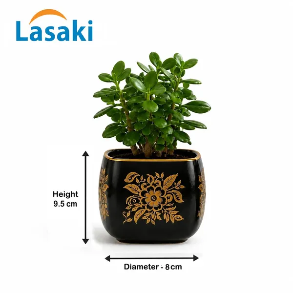Lasaki_Nebi_hp1_black_gold_Ceramic_Pots_for_Indoor_Plants,_Planters,gamla,Outdoor,Balcony,Home,Round,Garden,_Office_Decor,Succulent(L_-_9.5_X_W_-_9.5_X_H_-_8_cm)(Plants_not_included)