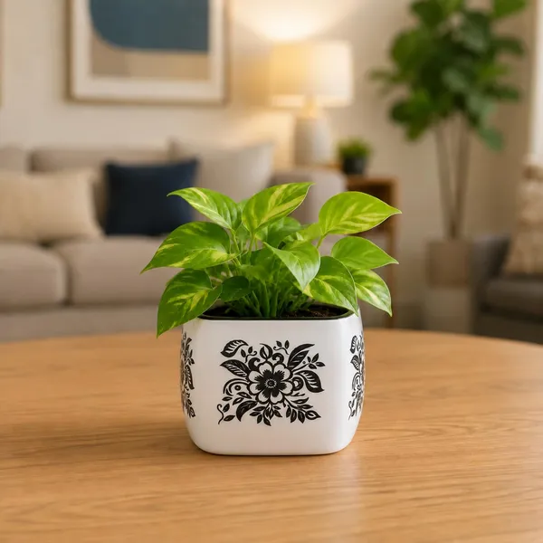 Lasaki_Nebi_hp1_white_black_Ceramic_Pots_for_Indoor_Plants,_Planters,gamla,Outdoor,Balcony,Home,Round,Garden,_Office_Decor,Succulent(L_-_9.5_X_W_-_9.5_X_H_-_8_cm)(Plants_not_included)