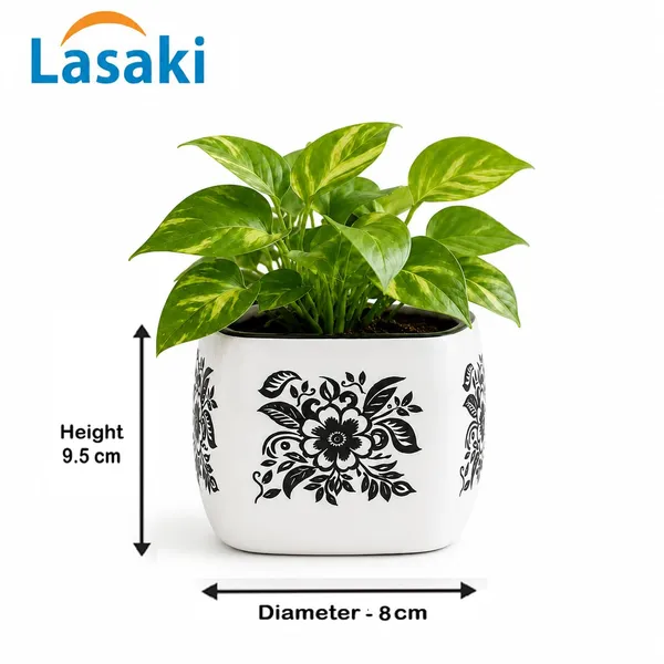 Lasaki_Nebi_hp1_white_black_Ceramic_Pots_for_Indoor_Plants,_Planters,gamla,Outdoor,Balcony,Home,Round,Garden,_Office_Decor,Succulent(L_-_9.5_X_W_-_9.5_X_H_-_8_cm)(Plants_not_included)
