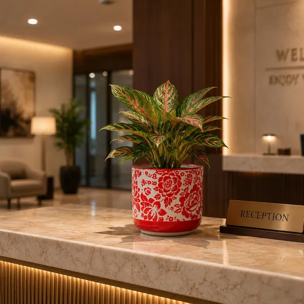 Lasaki_Orin_5d_sp1_red_Ceramic_Pots_for_Indoor_Plants,_Planters,gamla,Outdoor,Balcony,Home,Round,Garden,_Office_Decor,Succulent(H_-_11.5_X_D_-_13_cm)(Plants_not_included)