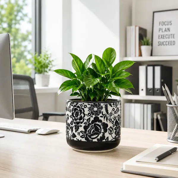 Lasaki_Orin_6d_sp1_black_Ceramic_Pots_for_Indoor_Plants,_Planters,gamla,Outdoor,Balcony,Home,Round,Garden,_Office_Decor,Succulent(H_-_13.5_X_D_-_15.5_cm)(Plants_not_included)