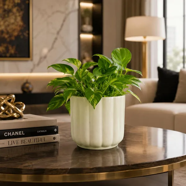Lasaki_Flona_ivory_Ceramic_Pots_for_Indoor_Plants,_Planters,gamla,Outdoor,Balcony,Home,Round,Garden,_Office_Decor,Succulent(H_-_11.5_X_D_-_12.5_cm)(Plants_not_included)
