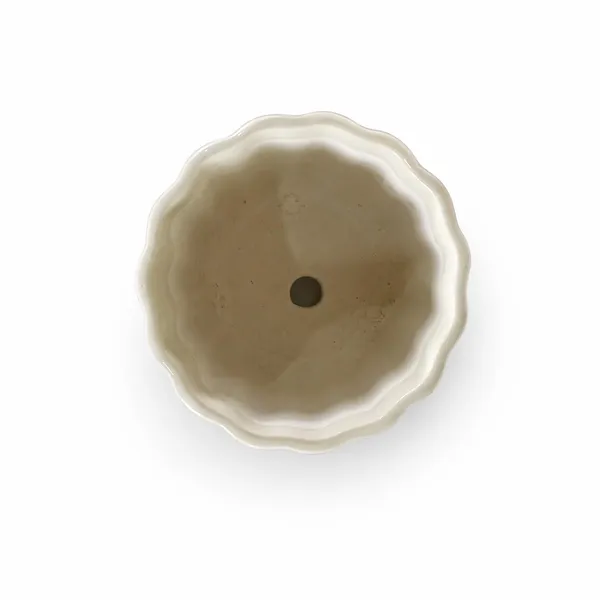 Lasaki_Flona_ivory_Ceramic_Pots_for_Indoor_Plants,_Planters,gamla,Outdoor,Balcony,Home,Round,Garden,_Office_Decor,Succulent(H_-_11.5_X_D_-_12.5_cm)(Plants_not_included)