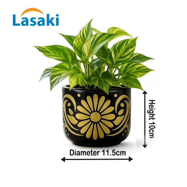Lasaki_Orin_4.5d_hp3_gold_Ceramic_Pots_for_Indoor_Plants,_Planters,gamla,Outdoor,Balcony,Home,Round,Garden,_Office_Decor,Succulent(H_-_10_X_D_-_11.5_cm)(Plants_not_included)