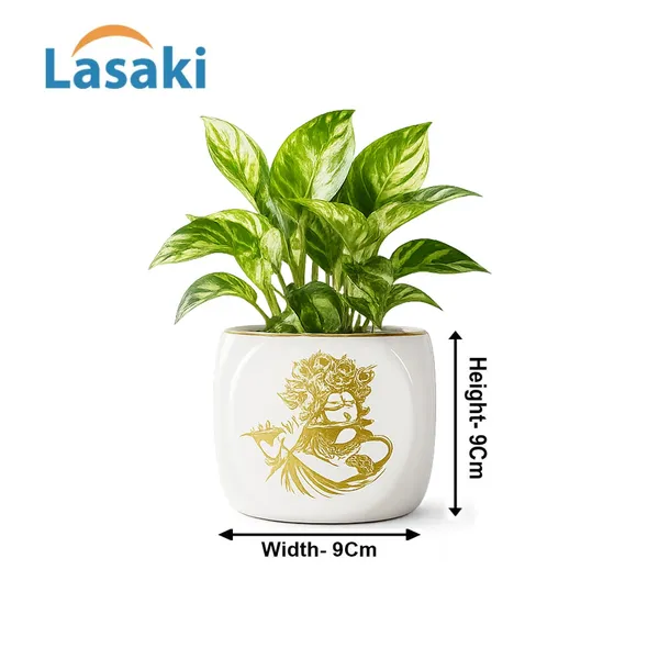 Lasaki_Aero_Krishna_gold_Ceramic_Pots_for_Indoor_Plants,_Planters,gamla,Outdoor,Balcony,Home,Round,Garden,_Office_Decor,Succulent(L-9_X_W_-_9_X_H_-_9_cm)(Plants_not_included)