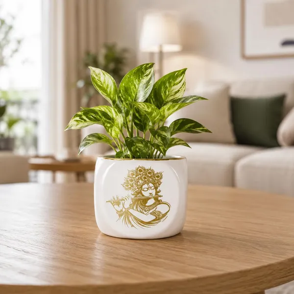 Lasaki_Aero_Krishna_gold_Ceramic_Pots_for_Indoor_Plants,_Planters,gamla,Outdoor,Balcony,Home,Round,Garden,_Office_Decor,Succulent(L-9_X_W_-_9_X_H_-_9_cm)(Plants_not_included)