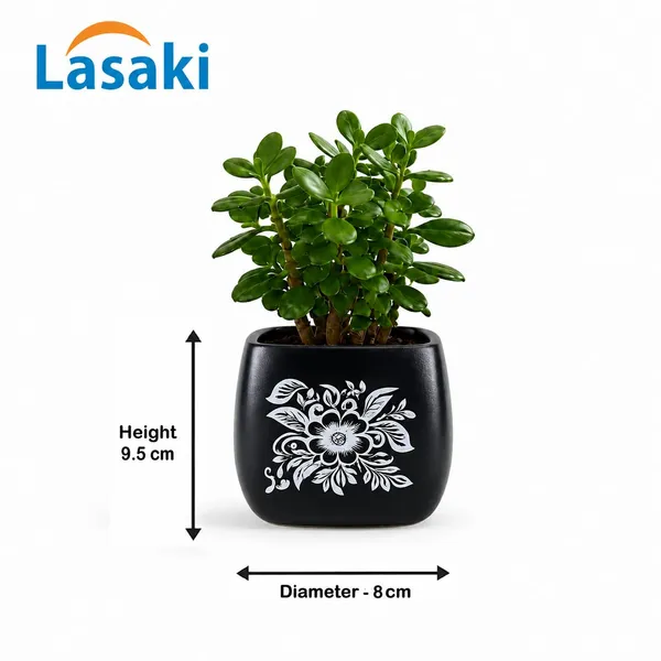 Lasaki_Nebi_hp1_silver_Ceramic_Pots_for_Indoor_Plants,_Planters,gamla,Outdoor,Balcony,Home,Round,Garden,_Office_Decor,Succulent(L_-_9.5_X_W_-_9.5_X_H_-_8_cm)(Plants_not_included)