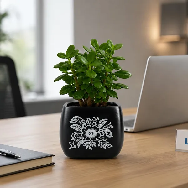 Lasaki_Nebi_hp1_silver_Ceramic_Pots_for_Indoor_Plants,_Planters,gamla,Outdoor,Balcony,Home,Round,Garden,_Office_Decor,Succulent(L_-_9.5_X_W_-_9.5_X_H_-_8_cm)(Plants_not_included)