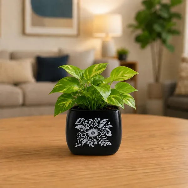Lasaki_Nebi_hp1_silver_Ceramic_Pots_for_Indoor_Plants,_Planters,gamla,Outdoor,Balcony,Home,Round,Garden,_Office_Decor,Succulent(L_-_9.5_X_W_-_9.5_X_H_-_8_cm)(Plants_not_included)