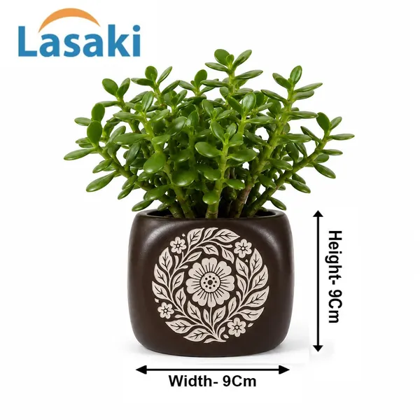 Lasaki_Aero_hp6_brown_silver_Ceramic_Pots_for_Indoor_Plants,_Planters,gamla,Outdoor,Balcony,Home,Round,Garden,_Office_Decor,Succulent(L-9_X_W_-_9_X_H_-_9_cm)(Plants_not_included)