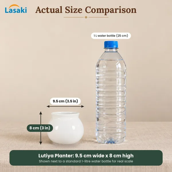 Lasaki_Lutiya_Ceramic_Pot_for_Indoor_Plants,_White_Lota_Shape,_3.5_Inch
