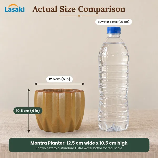Lasaki_Montra_Ceramic_Pot_for_Indoor_Plants,_Rustic_Tan_Fluted,_5_Inch