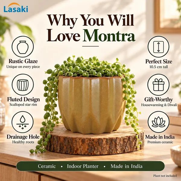Lasaki_Montra_Ceramic_Pot_for_Indoor_Plants,_Rustic_Tan_Fluted,_5_Inch