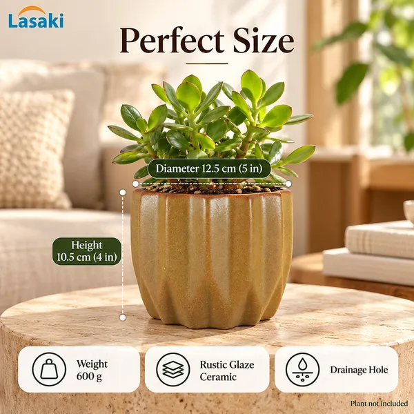 Lasaki_Montra_Ceramic_Pot_for_Indoor_Plants,_Rustic_Tan_Fluted,_5_Inch