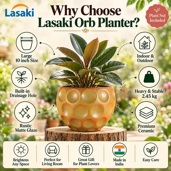 Lasaki_Orb_Rustic_Large_Ceramic_Pot_for_Indoor_Plants,_10_Inch,_Mustard