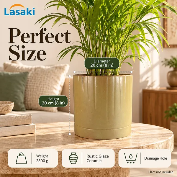 Lasaki_Morvo_Ceramic_Pot_for_Indoor_Plants,_Rustic_Olive_Ribbed,_8_Inch