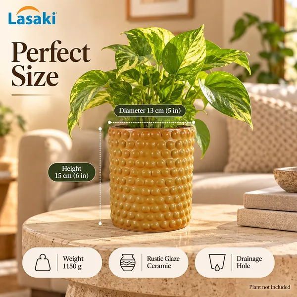 Lasaki_Bubble_Ceramic_Pot_for_Indoor_Plants,_Rustic_Ochre_Textured,_5_Inch