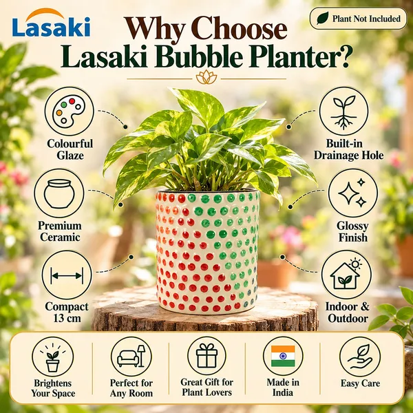Lasaki_Bubble_Ceramic_Pot_for_Indoor_Plants,_Multicolour_Dots,_5_Inch