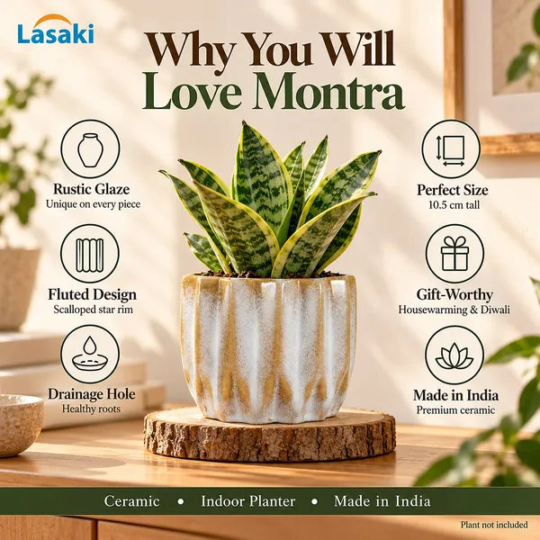 Lasaki_Montra_Ceramic_Pot_for_Indoor_Plants,_Rustic_White_Fluted,_5_Inch
