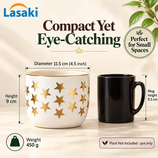 Lasaki_Avani_Stargold_Ceramic_Pot_for_Indoor_Plants,_Hand_Painted,_4.5_Inch