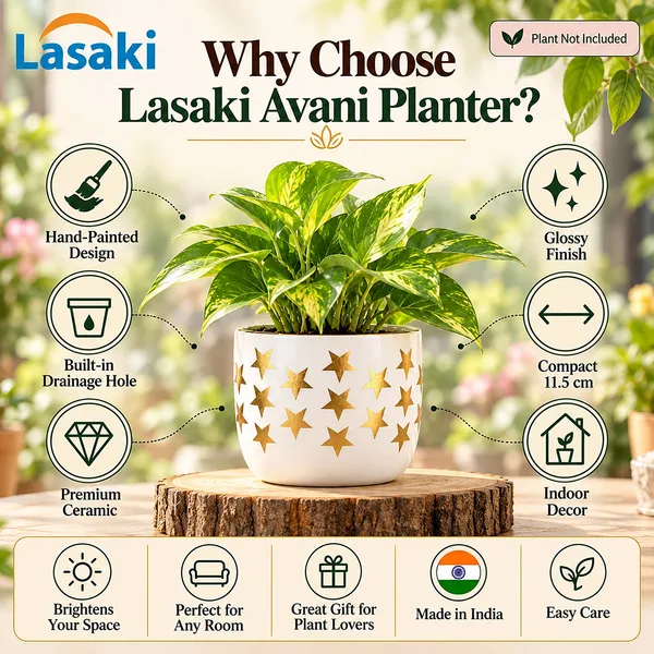 Lasaki_Avani_Stargold_Ceramic_Pot_for_Indoor_Plants,_Hand_Painted,_4.5_Inch