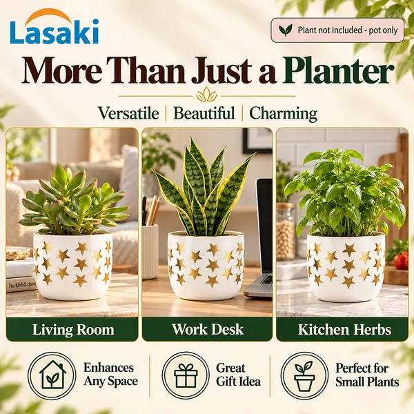 Lasaki_Avani_Stargold_Ceramic_Pot_for_Indoor_Plants,_Hand_Painted,_4.5_Inch