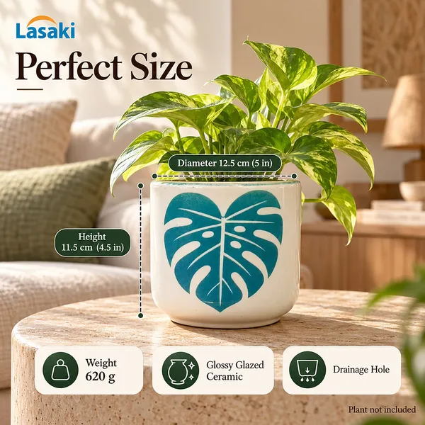 Lasaki_Orin_Ceramic_Pot_for_Indoor_Plants,_Monstera_Leaf_Print,_5_Inch