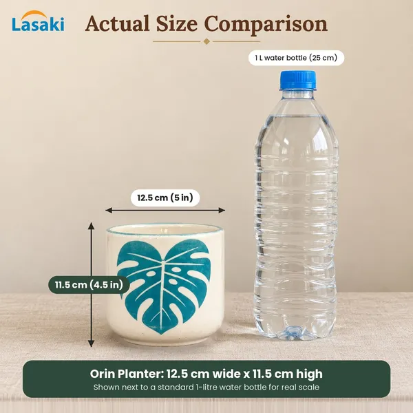 Lasaki_Orin_Ceramic_Pot_for_Indoor_Plants,_Monstera_Leaf_Print,_5_Inch