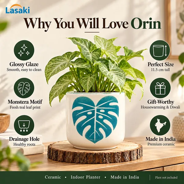 Lasaki_Orin_Ceramic_Pot_for_Indoor_Plants,_Monstera_Leaf_Print,_5_Inch
