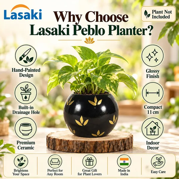 Lasaki_Peblo_Ceramic_Pot_for_Indoor_Plants,_Hand_Painted_Gold_Leaf,_4_Inch