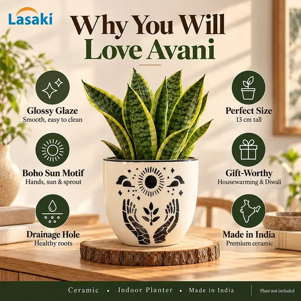 Lasaki_Avani_Ceramic_Pot_for_Indoor_Plants,_Boho_Sun_Print,_6_Inch