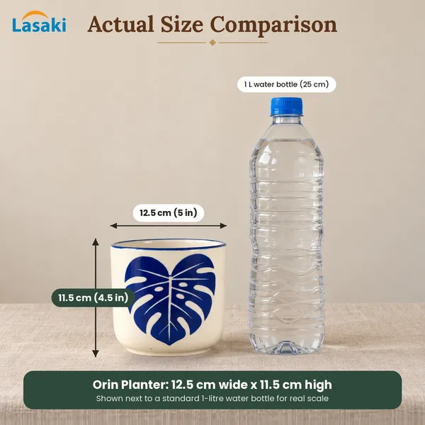 Lasaki_Orin_Ceramic_Pot_for_Indoor_Plants,_Blue_Monstera_Leaf,_5_Inch