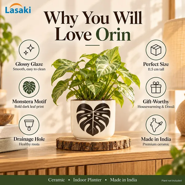 Lasaki_Orin_Ceramic_Pot_for_Indoor_Plants,_Dark_Brown_Monstera_Leaf,_5_Inch