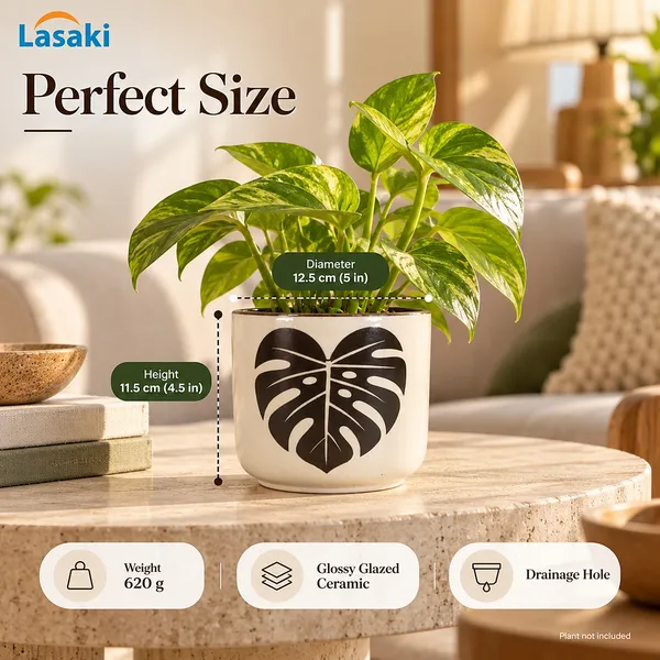 Lasaki_Orin_Ceramic_Pot_for_Indoor_Plants,_Dark_Brown_Monstera_Leaf,_5_Inch