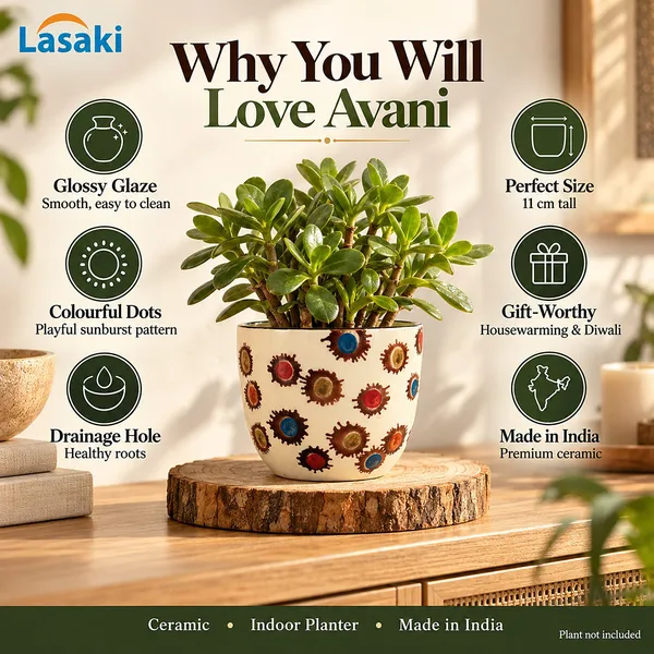 Lasaki_Avani_Ceramic_Pot_for_Indoor_Plants,_Colourful_Dots,_5_Inch