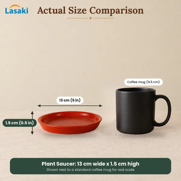 Lasaki_Plate_Tray_(Set_of_Two)_for_Ceramic_Pots_for_Indoor_Plants,Planters,Flower_pots,gamla_(D:_13_cm,_H:_1.5_cm)_R4_(Plants_not_Included)
