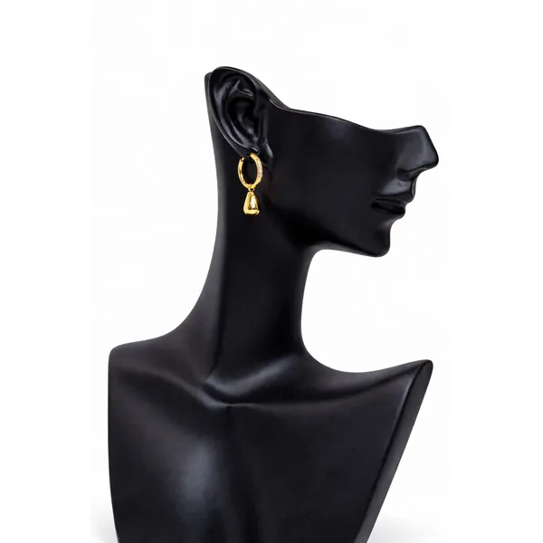 Ridhvee_Anti-Tarnish_Gold_Plated_Charm_Hoop_Earrings_For_Women_&_Girls_|_Crystal_Studded_Hoop_With_Drop_Charm_|_Butterfly_Clasp_|_Skin_Friendly_Lightweight_Fashion_Jewellery_|_Rv-At-Erg-016