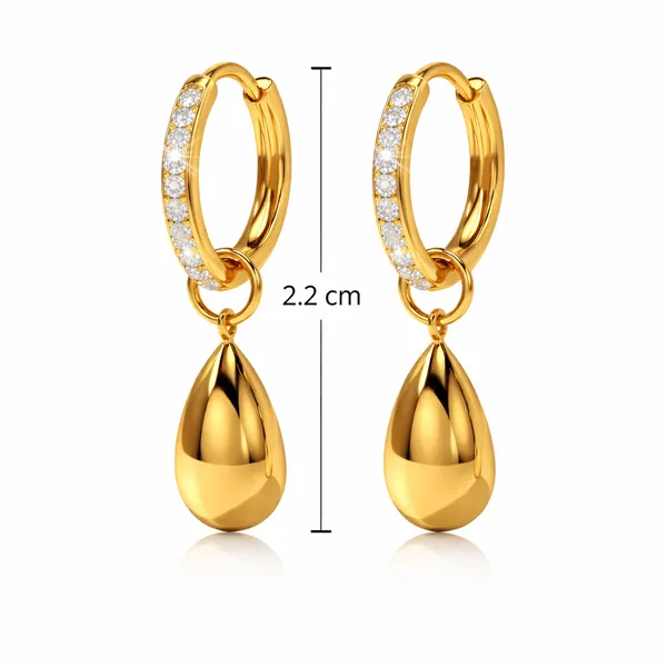Ridhvee_Anti-Tarnish_Gold_Plated_Charm_Hoop_Earrings_For_Women_&_Girls_|_Crystal_Studded_Hoop_With_Drop_Charm_|_Butterfly_Clasp_|_Skin_Friendly_Lightweight_Fashion_Jewellery_|_Rv-At-Erg-016