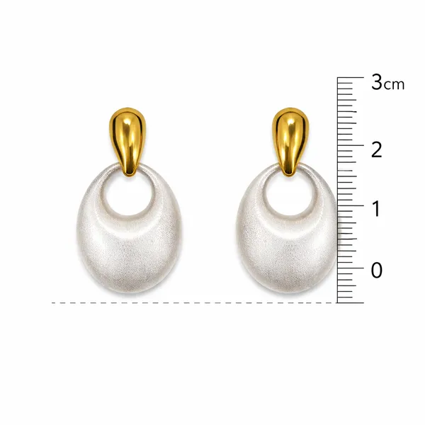 Ridhvee_Dual_Tone_Drop_Earrings_For_Women_|_Gold_Plated_Stud_With_Matte_Pearl_Finish_Dangle_|_Elegant_Lightweight_Statement_Earrings_For_Party,_Office_&_Daily_Wear