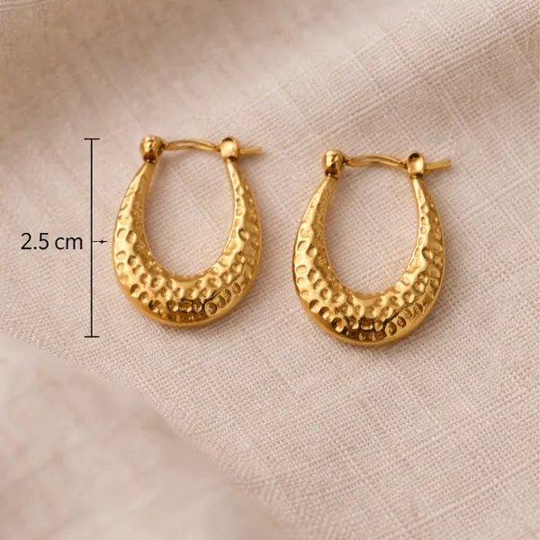 Ridhvee_18K_Gold_Plated_Hammered_Hoop_Earrings_For_Women,_Waterproof_Textured_Hoops,_2.5Cm,_Hypoallergenic_Stainless_Steel_Anti_Tarnish_|_Rv-At-Erg-001