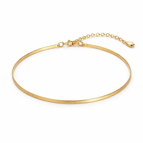 Ridhvee_Anti-Tarnish_Gold_Anklet_For_Women_|_Adjustable_Elegant_Anklet_|_Premium_Fashion_Jewelry