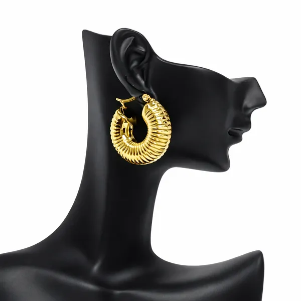 Ridhvee_Gold_Plated_Anti-Tarnish_Hoop_Earrings_For_Women_&_Girls_|_Textured_Chunky_Hoop_Design_|_Skin_Friendly_Lightweight_Earrings_|_Hinged_Clasp_Secure_Fit_|_Trendy_Fashion_Jewellery_Gift_|_Rv-At-Erg-011