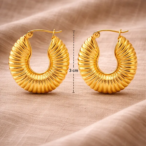Ridhvee_Gold_Plated_Anti-Tarnish_Hoop_Earrings_For_Women_&_Girls_|_Textured_Chunky_Hoop_Design_|_Skin_Friendly_Lightweight_Earrings_|_Hinged_Clasp_Secure_Fit_|_Trendy_Fashion_Jewellery_Gift_|_Rv-At-Erg-011