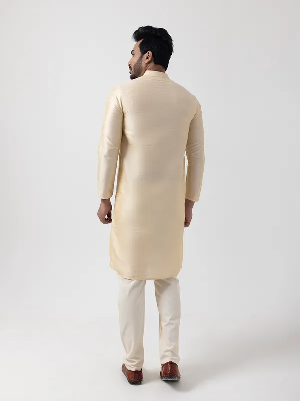 Men_Printed_Beige_Kurta